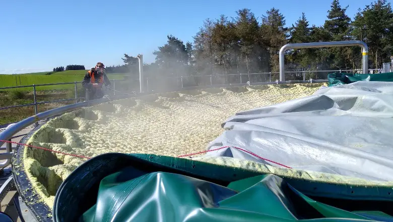Sulphur Net Clean