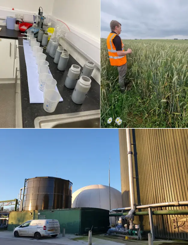 Marches Biogas AD Biology Surgery