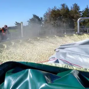 Sulphur Net Clean
