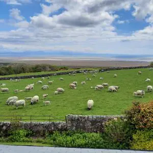 25th May 2021