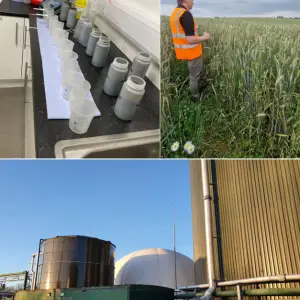Marches Biogas AD Biology Surgery